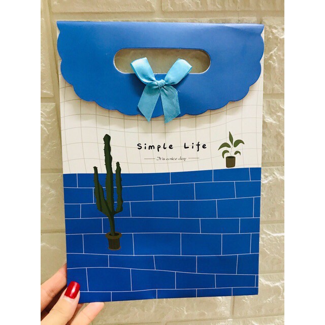 Túi giấy đựng quà có nắp A6: 16.5 x 12.5 x 6cm - CAO CẤP [ GIÁ CỰC SỐC ]