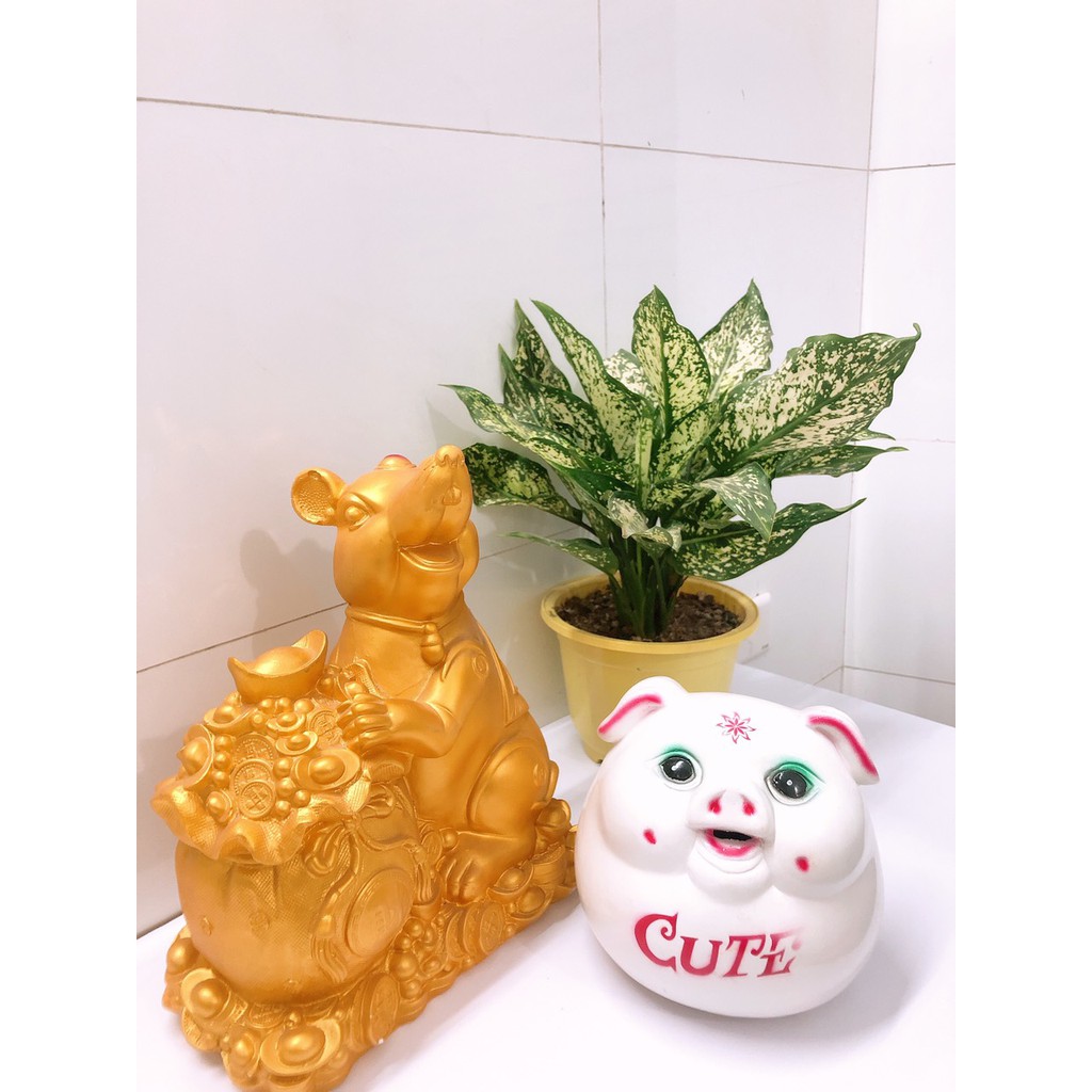 HEO ĐẤT CUTE - GỐM SỨ BÁT TRÀNG