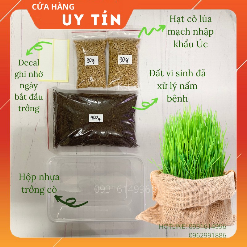 BỘ TRỒNG CỎ LÚA MẠCH ÉP NƯỚC (Cỏ nhập khẩu Úc)