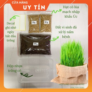 BỘ TRỒNG CỎ LÚA MẠCH ÉP NƯỚC (Cỏ nhập khẩu Úc)