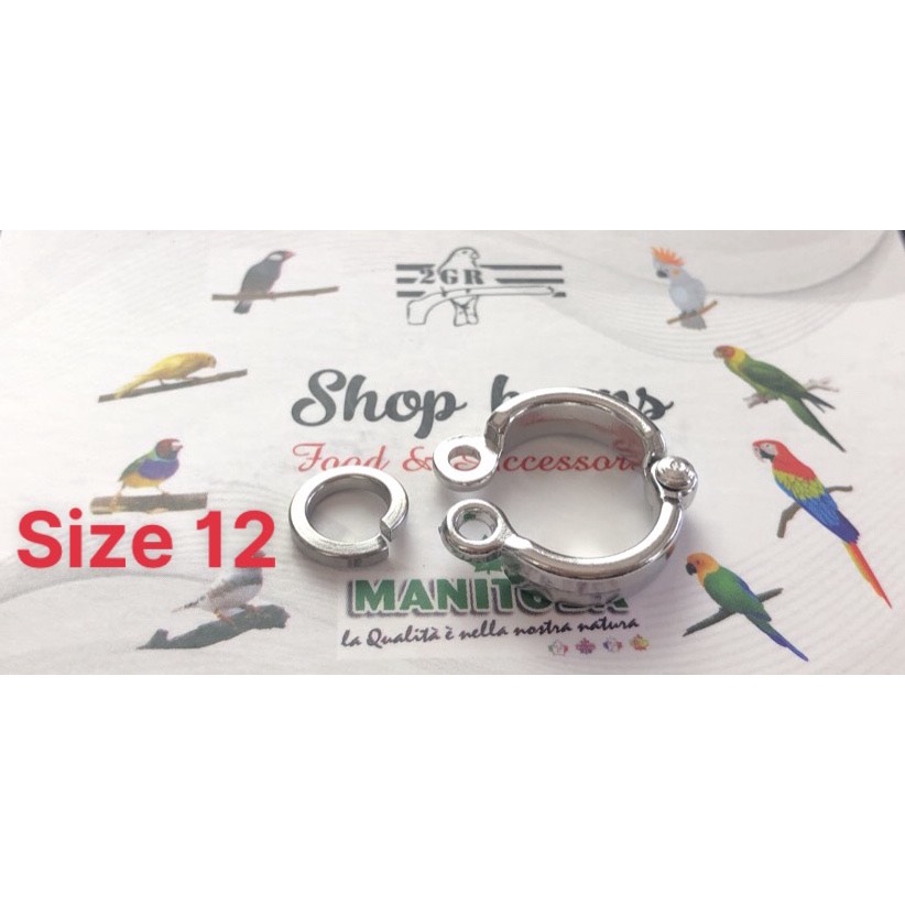 Vòng chân  INOX  316 cao cấp dùng cho vẹt có đủ size