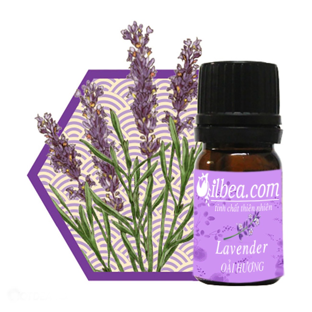 Tinh dầu oải hương 50ml - lavender