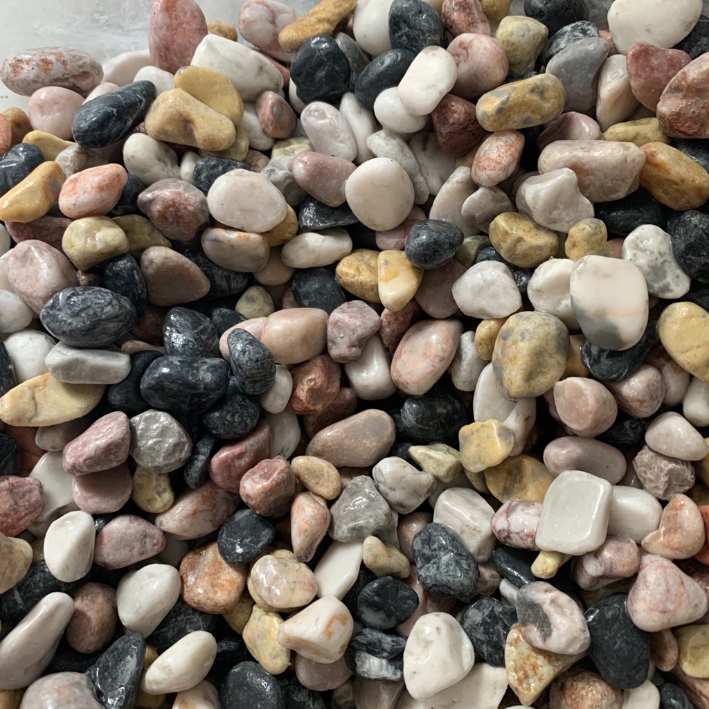 1 kg Sỏi 4 màu trang trí bể cá,sân vườn ,