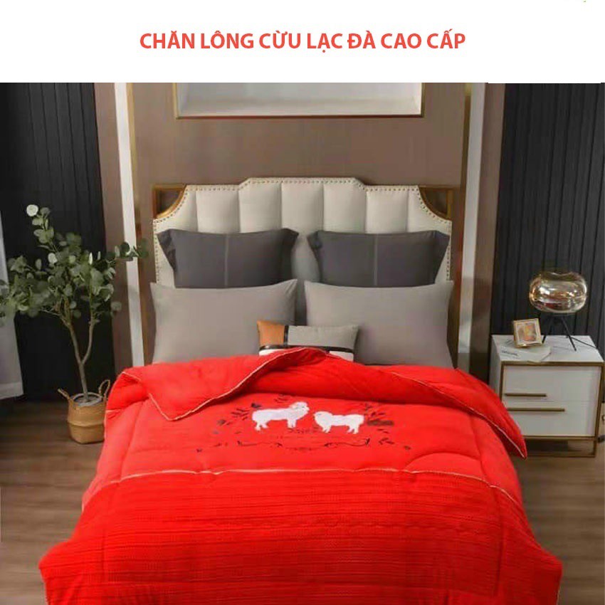 CHăn Lạc Đà Cao Cấp Nặng 4,5kg Rộng 2mx2m3- Hàng Nhập Khẩu