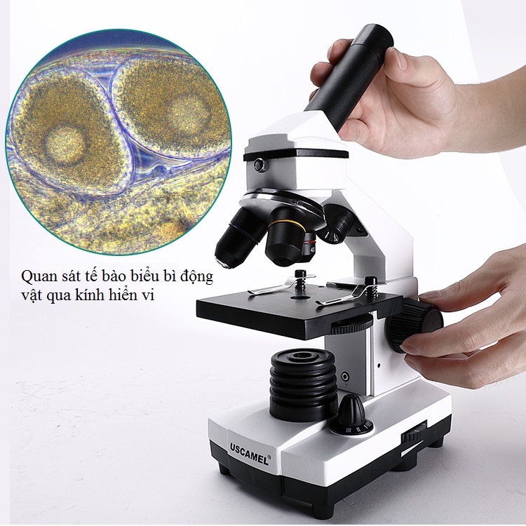 Kính hiển vi sinh học 1600X UX001