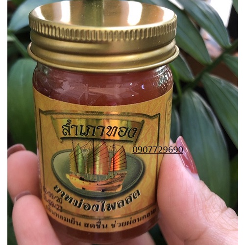 Dầu cù là cánh buồn Thái Lan