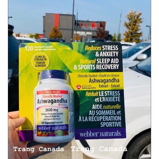 Viên uống nhân sâm ấn độ ashwagrandha 3600mg webber canada