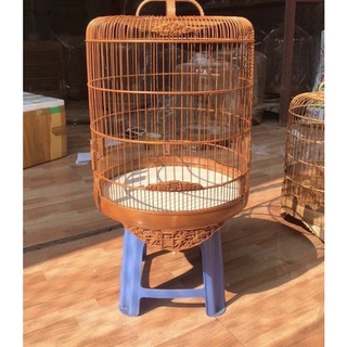 Lồng Đục Choè Than from cao (sz 42)