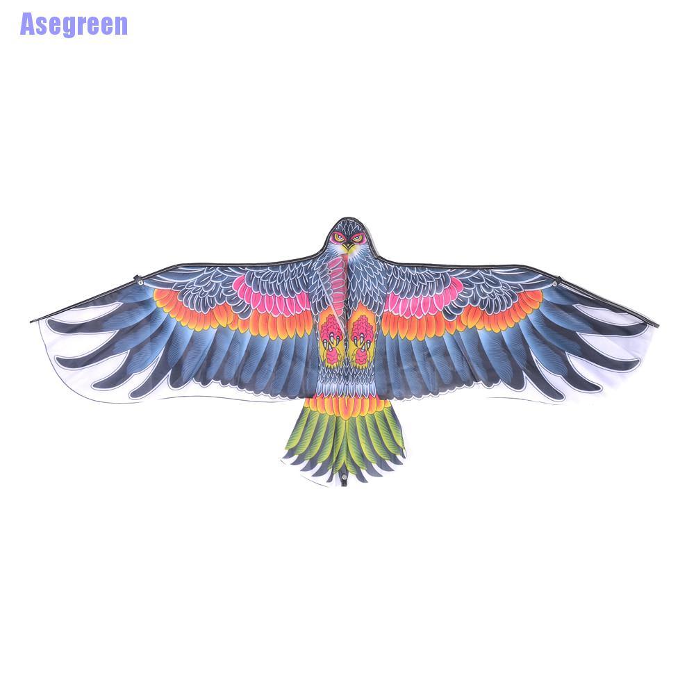 Chú Chim Đại Bàng Cỡ Lớn Độc Đáo