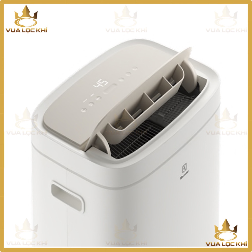Máy tạo ion và hút ẩm Electrolux EDH10TRBW1