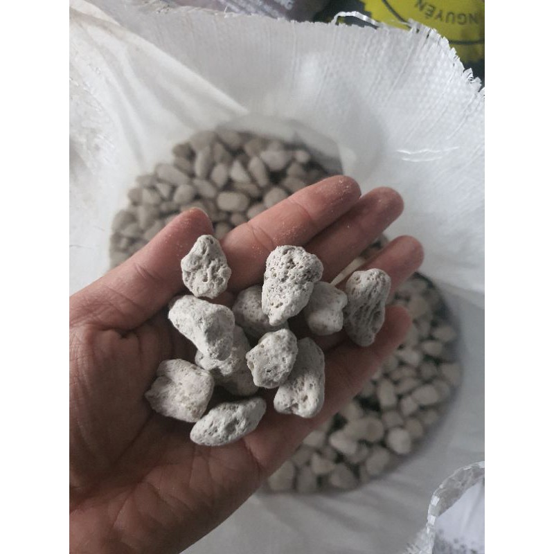 1kg Đá Pumice Đá bọt núi lửa size 10 - 20mm Đá lót chậu