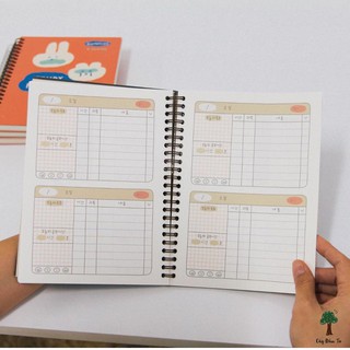 Sổ Lập Kế Hoạch 4M ROMANE GUMMIES Planner Hàn Quốc