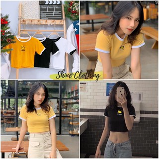 [ Inbox trước để chọn màu] Áo Crop top thun gân , thun trơn xinh xắn Shine Clothing