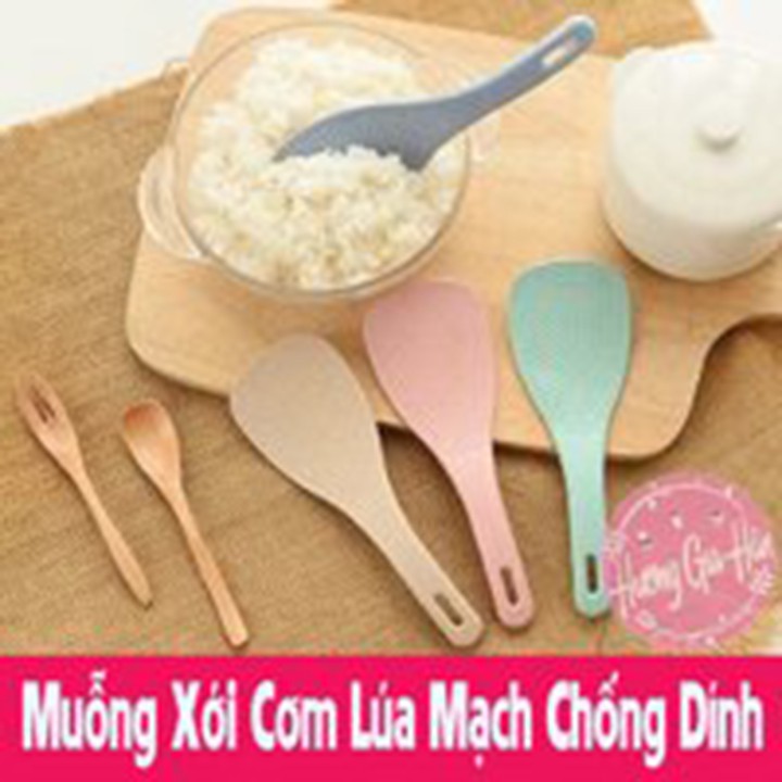 Thìa xới cơm Muôi Muỗng bằng thân cây lúa mạch có Gai chống dính