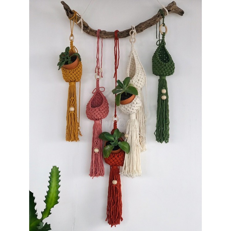 Mành Kén treo cây Macrame (Hình chụp thật)