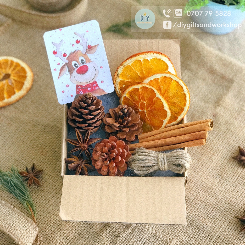 SET PHỤ KIỆN TRANG TRÍ NOEL ĐỦ LOẠI CAM QUẾ THÔNG, TRÁI CHÂU, ĐÀO ĐÔNG, ĐÈN LED