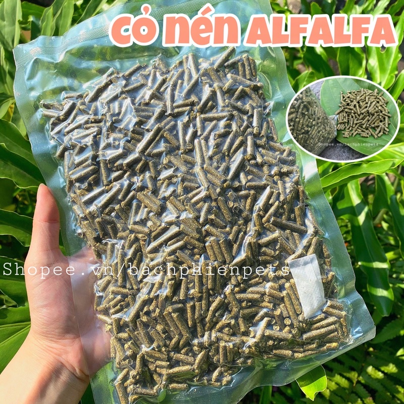 Cỏ Nén Alfalfa, Cỏ nén linh lăng cho Thỏ, Bọ ú 500gr.