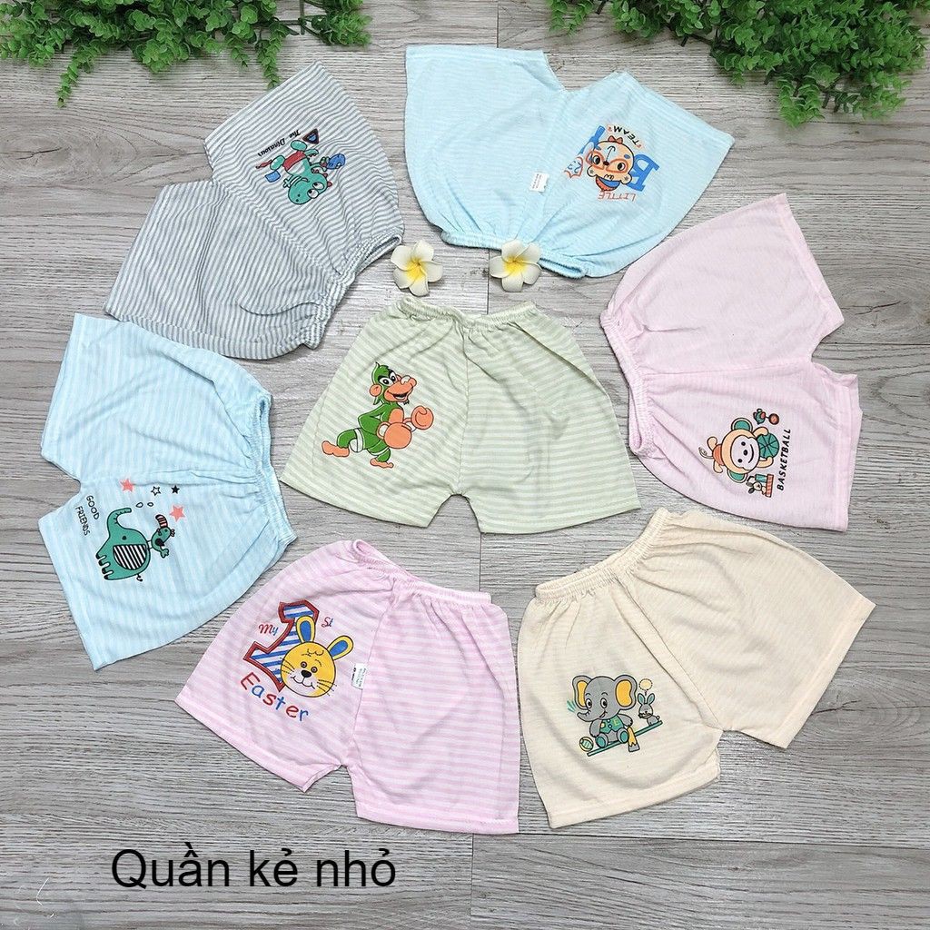 Quần chục trẻ em kẻ cotton cho sơ sinh đến 15kg (HN 465/689)