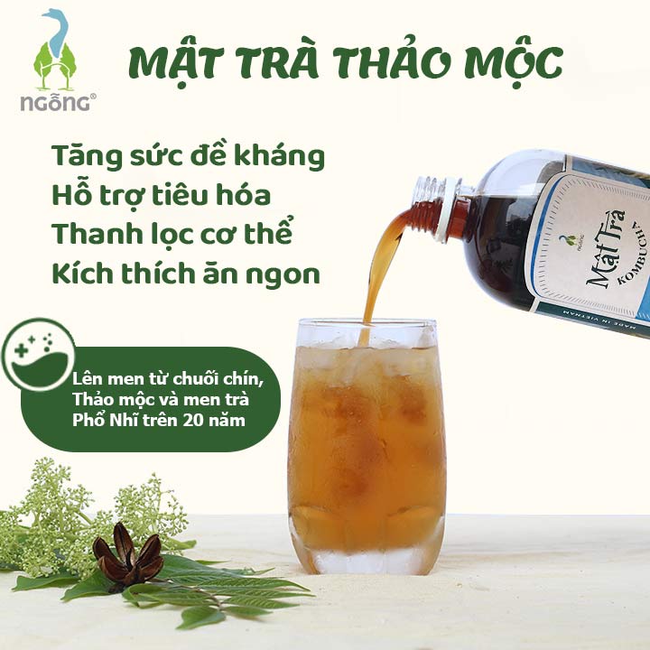 Mật Trà Kombucha Thảo Mộc Lên Men Từ Chuối Chín Và Men Trà Phổ Nhĩ Trên 20 Năm 5L