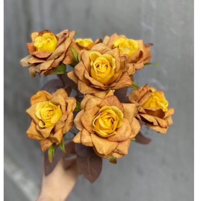 Cụm Hồng khô 7 bông phong cách vintage tông màu siêu sang siêu đẹp