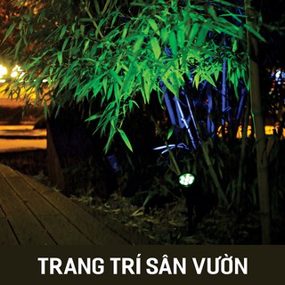ĐÈN SOI TIỂU CẢNH RGB 5W