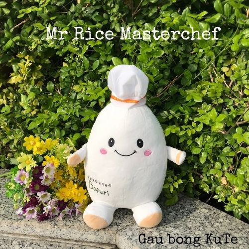Gấu bông - Hạt cơm đầu bếp