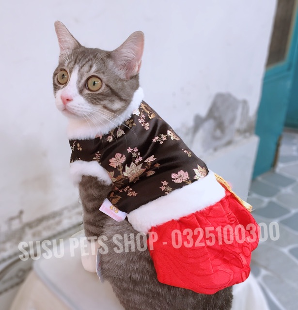ĐỒ TẾT HANBOK CHO CHÓ MÈO - VÁY TẾT VÀ ÁO LIỀN QUẦN 2021