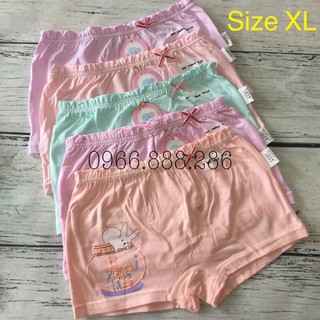 Combo 5 quần chíp đùi bé gái