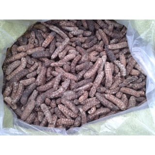 Chuối hột rừng cả quả 2kg