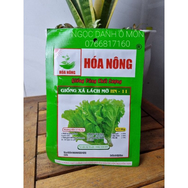 HẠT GIỐNG XÀ LÁCH HÓA NÔNG 10GR