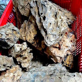 Đá Tiger Setup bể Cá cảnh, bể Thuỷ sinh (1kG)