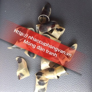 Bán móng gảy đàn tranh bằng nhựa đồi mồi