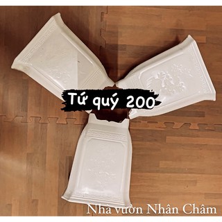 Chậu trồng cây tứ quý chậu vuông