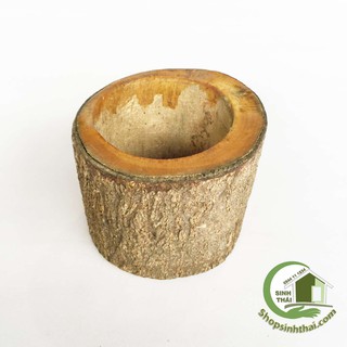 Lọ hoa - chậu cây bằng gỗ gốc cây - còn nguyên vỏ cây