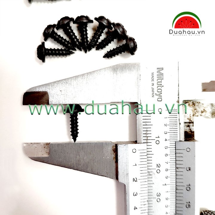 Vit 3x10cm  Đầu + loại 1 Nhập Khẩu-màu ĐEN
