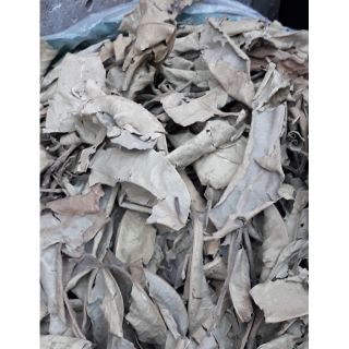 [HCM]Lá vối khô 500gr