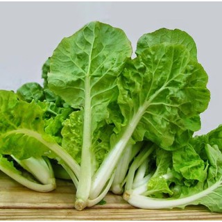 10gram HẠT GIỐNG CẢI BẸ DÚN