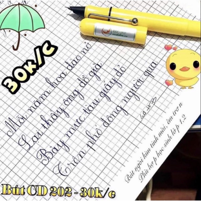 Bút mực cánh diều CD-202