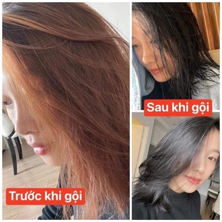 Dầu gội phủ bạc saffron