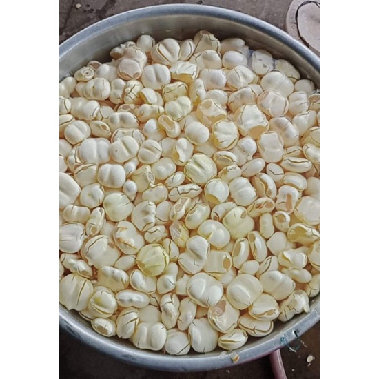 Thốt nốt tươi tại Hà Nội