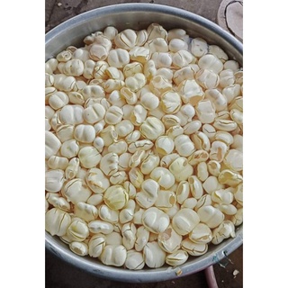 Thốt nốt tươi tại Hà Nội