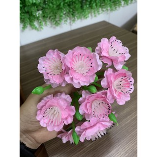 1KG HOA ĐÀO NHẠT CHÙM