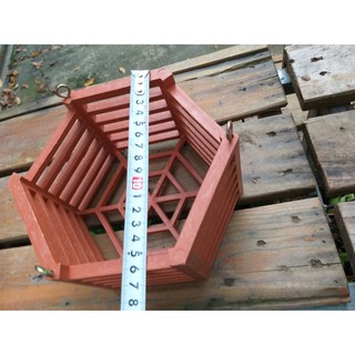 2 Chậu nhựa lục giác trồng lan - đường kính 15cm x chiều cao 8cm
