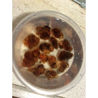 Nhựa Đào Vân Nam 100gr