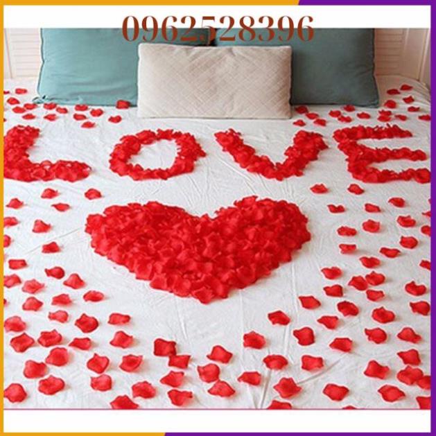 100 cánh hoa hồng lụa❤️trang trí phòng cưới