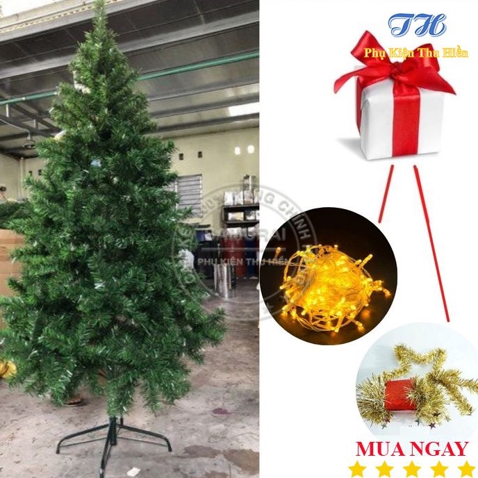 Cây Thông Noel 3M Kèm Dây Đèn Led, Ngôi Sao Đỉnh Và Dây Kim Tuyến Trang Trí Giáng Sinh