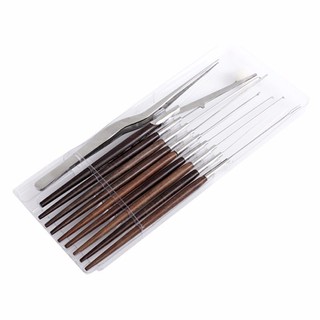 Bộ lấy ráy tai cao cấp 10 món