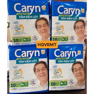 [ĐỦ SIZE] Combo 4 gói Tấm Đệm Lót Caryn size L10/L20/XL14 miếng