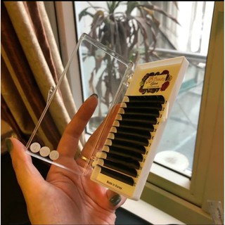Mi nối độ cong C mi hàn quốc