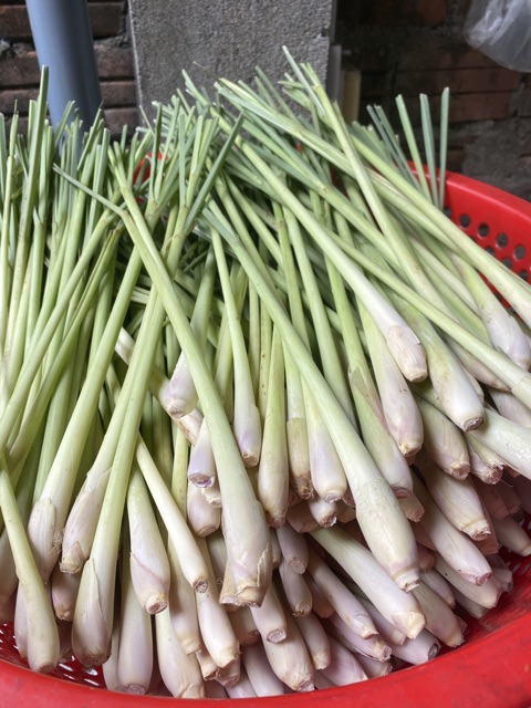 [ LINK MỚI]500gram khô bò quảng ngãi LAN ANH ngon 100% thịt bò tươi nhà làm thủ công | BigBuy360 - bigbuy360.vn